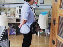 -A猫a狗全科·犬猫异宠·芥西宠物医院(南开总院)
