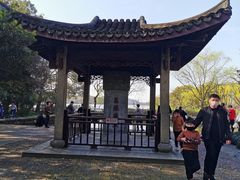 -西湖外事游船(花港观鱼码头)