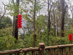 -三门江国家森林公园