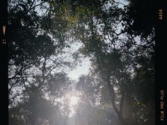 -野象谷景区
