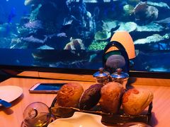 -迪拜帆船酒店海底餐厅