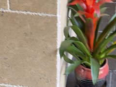 -荷风细雨·中国茶宴(碧云店)