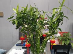 -田凤波推拿.按摩养生(幸福店)