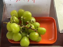 -马陆小张葡萄园农家乐