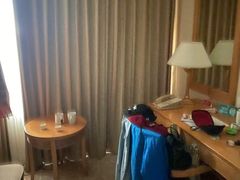 -南京维景国际大酒店(南京博物院店)