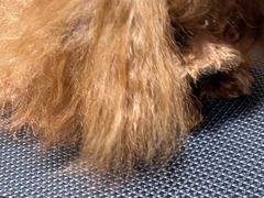 -宠颐生动物医院·小陆分院