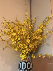 -和伊母婴护理中心·全套房(金山店)
