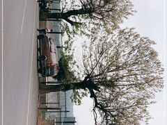 -十三陵水库