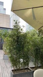 点击看大图 -东秀护肤造型