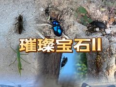 -北京西山国家森林公园