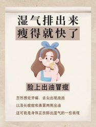 -Fundi张玉珊修身堂·indiba·BTL科技瘦身