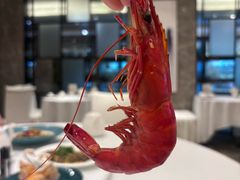 -佳丽海鲜大酒楼(环岛海景店)