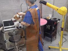 -宠福鑫康馨动物医院·骨科·眼科