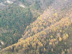 -灵山