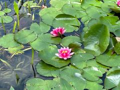 -昆山城市生态森林公园