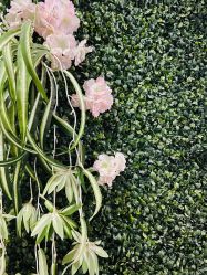 -美肤盾祛痘·问题肌头疗管理中心