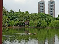 -东莞市可园博物馆