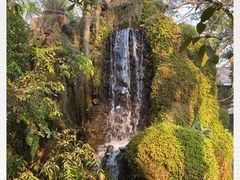 -Chom Cafe and Restaurant