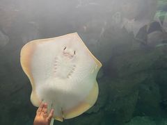 -珠海长隆海洋王国