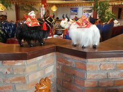 -后院犇牛主题餐厅(云岗店)