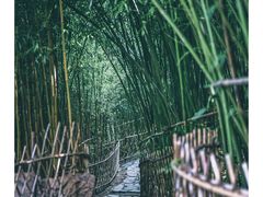 -竹子庵公园
