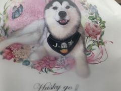 -Husky Go! 哈士奇体验馆·宠物咖啡厅狗咖