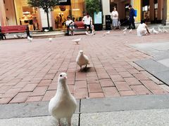 -王府井奥莱临潼小镇(临潼店)