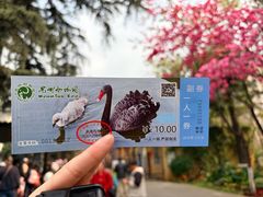-昆明动物园