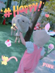 -萌宠亲子动物乐园(槐房万达店)