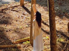 -天目山大树王景区