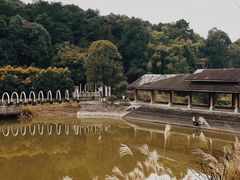-金水泊山庄·花椒鸡(铁山坪店)