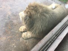 -杭州野生动物世界