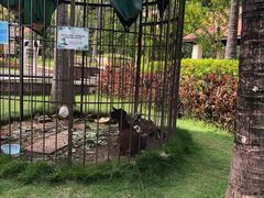 -西双版纳融创皇冠假日度假酒店