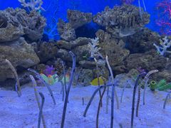 -成都浩海立方海洋公园