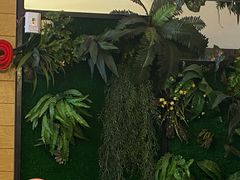-醉美东江·三文鱼·烧鸡公