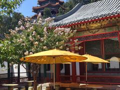 -宫事颐庭·老佛爷贵寿下午茶(颐和园店)