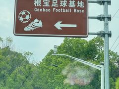 -东平国家森林公园