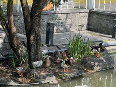-杭州西溪喜来登度假大酒店