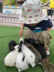 -萌宠亲子动物乐园(槐房万达店)