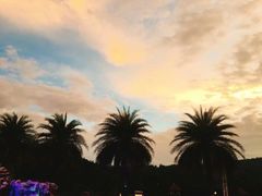 -清迈夜间动物园