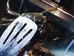 -鑫海汇海鲜烤肉自助(北国商城店)
