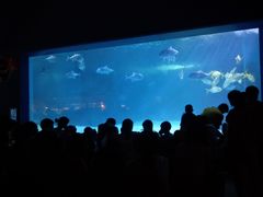 -常州海昌海洋探索馆