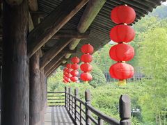-大唐贡茶院