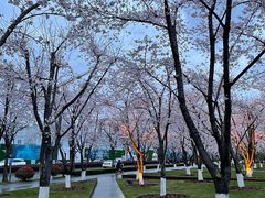 -龙美术馆(西岸馆)