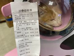 -伟伟宠物医院·瑞派猫友好医院·猫科(光谷店)
