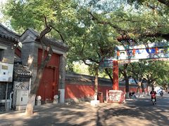 -北京国子监胡同