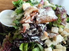 -Tubestation站点比萨(五道营店)