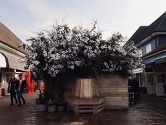 -伦敦比斯特购物村