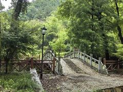 -素山寺森林公园