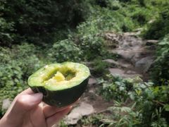 -沣峪口